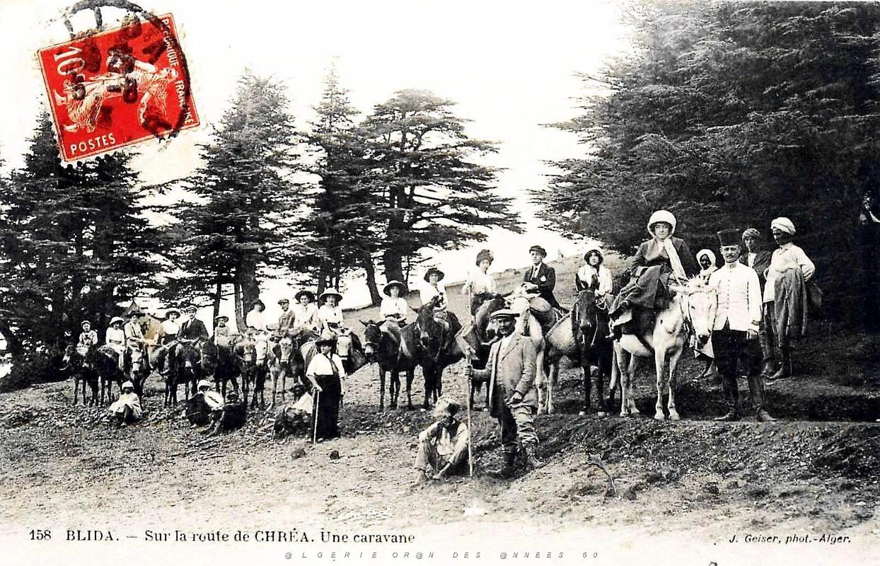 1946- Blida - Caravane sur la route de Chrea - 1913.jpg